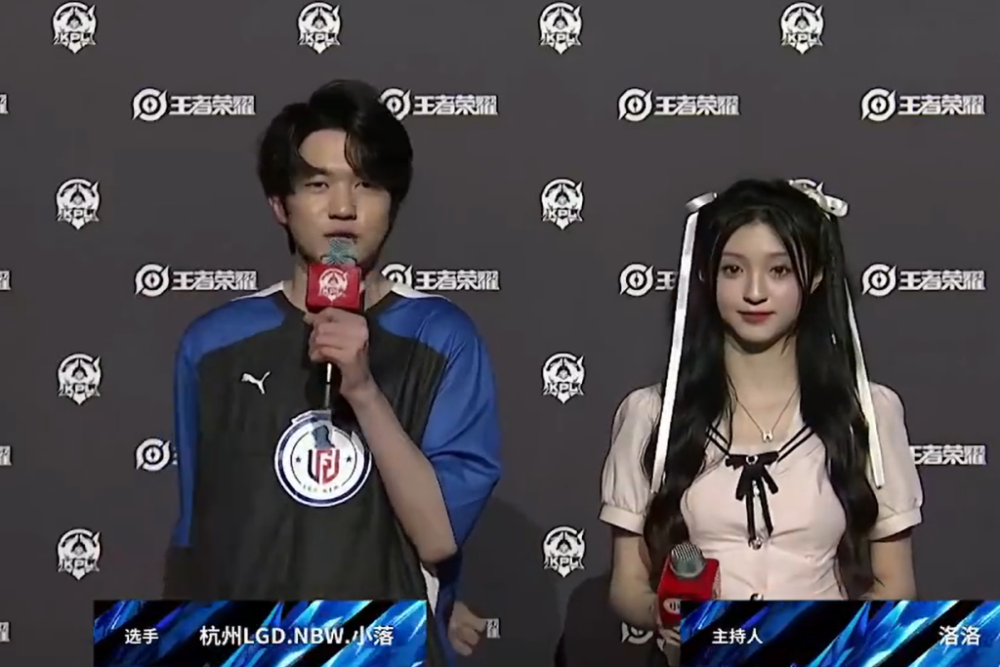 他借对抗制 他借对抗制